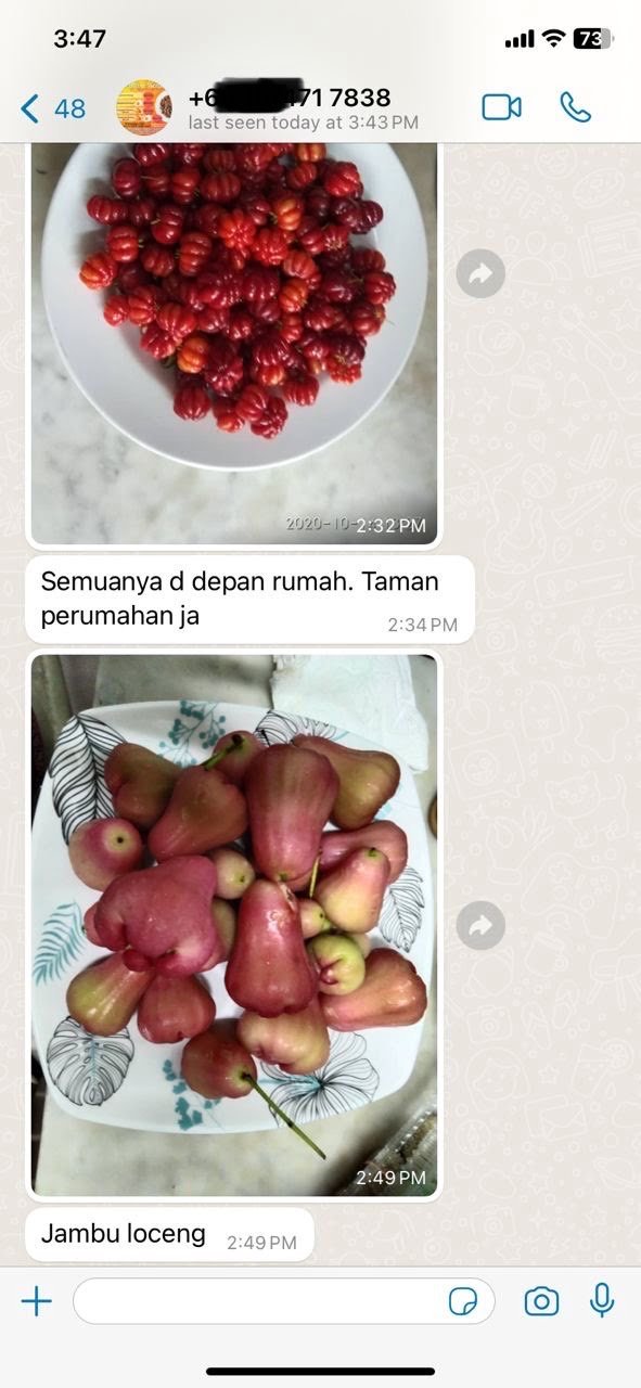 "Dah macam kebun buah"