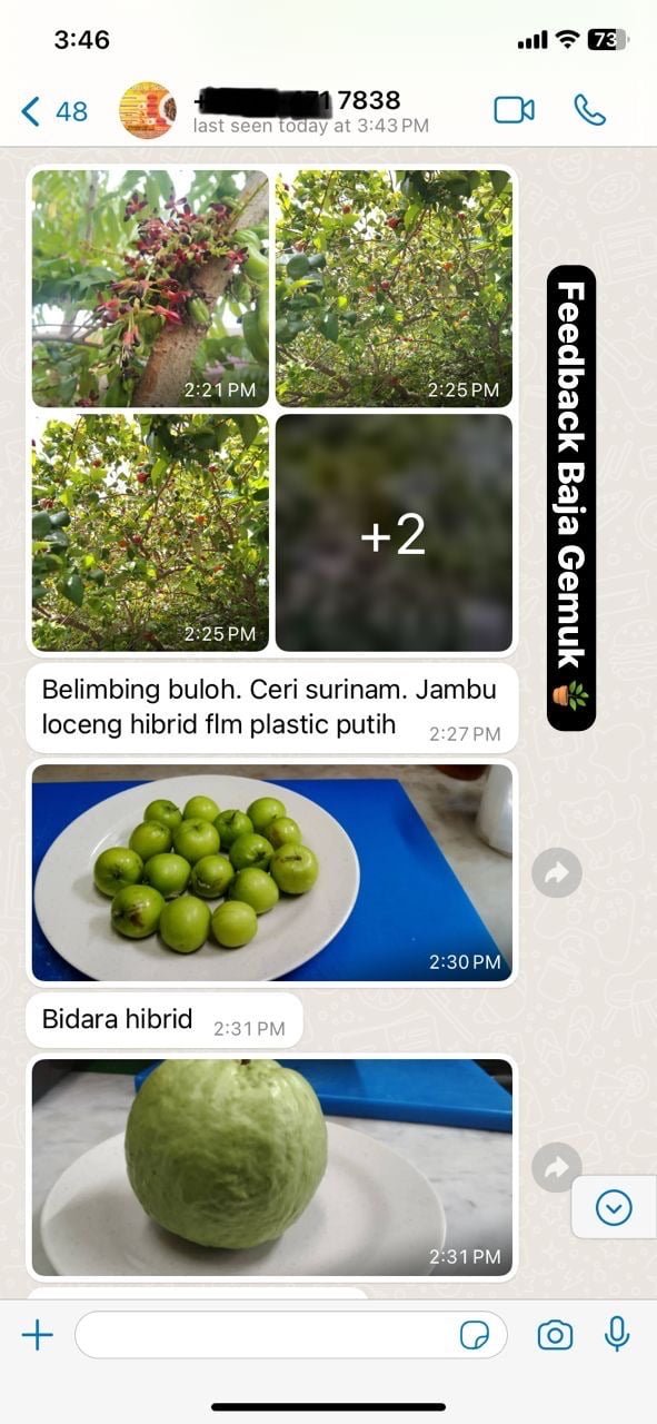 "Dah macam kebun buah"