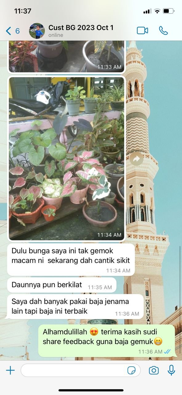 "Dulu bunga tak gemok macam ni"