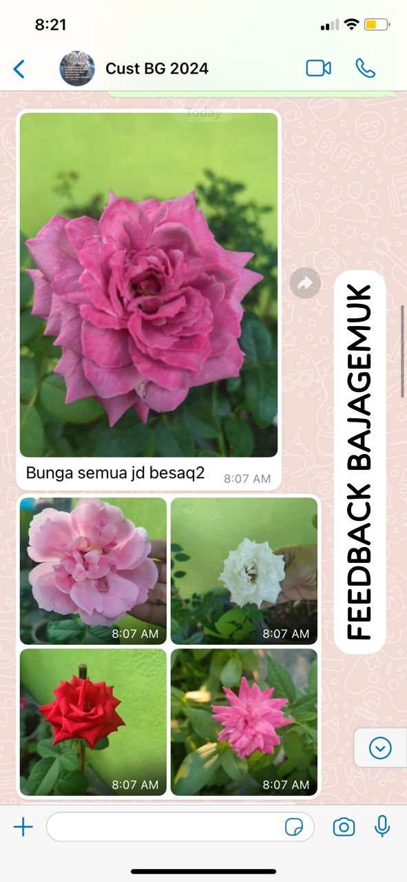 "Bunga semua jadi besar"